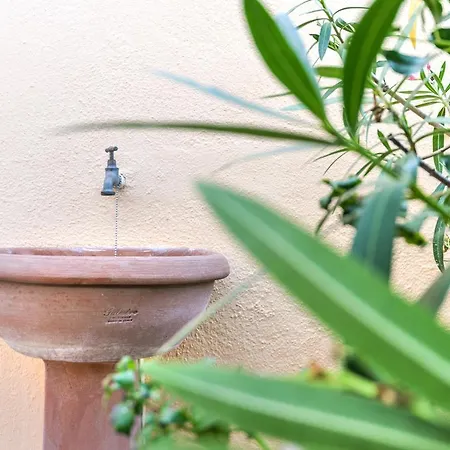 Unifamiliare Isola D'elba Porto Azzurro